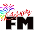 Radio Salyut Radio Logo