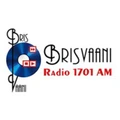 Brisvaani Radio Radio Logo