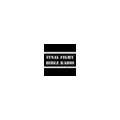 Final Fight Bible Radio Radio Logo
