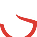 Diffusione Stereo Radio Logo