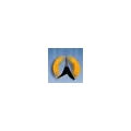 Radio Pielgrzym - pieśni po polsku Radio Logo