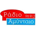 Αμύνταιο 91.2 Radio Logo