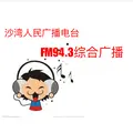 动感调频FM94.3 沙湾人民广播电台综合广播 Radio Logo