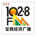 宝鸡经济广播 Radio Logo
