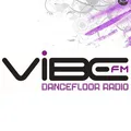 Vibe FM Romania Radio Logo