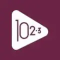 102.3 FM Porto Alegre ZYD566 Radio Logo