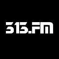 313.fm Radio Logo