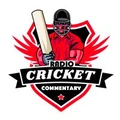 Cricket Commentary Hindi Radio Logo