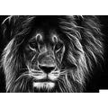 Electric Lion Radio London Radio Logo