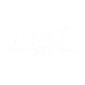 FMi 99.1 Radio Logo