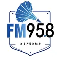 内乡综合广播经典958 Radio Logo