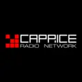 Radio Caprice - Acoustic Guitar Radio Logo