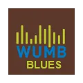 WUMB Blues Boston 91.9 Radio Logo