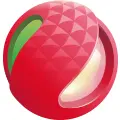 广东新闻广播 Radio Logo