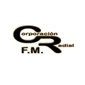 Dinámica 89.9 FM Radio Logo