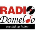 Radio Domeldo Radio Logo