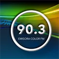 Color FM 90.3 Radio Logo