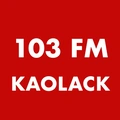 RTS Kaolack 103 Radio Logo