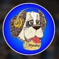 Melodia Arequipa Radio Logo