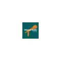 VILASSAR RADIO Radio Logo