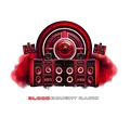 Blood Bought Radio Radio Logo