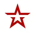 Звезда 95.6 FM Radio Logo