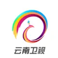 云南卫视伴音 Radio Logo