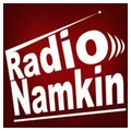 Radio Namkin Radio Logo
