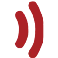 Digital FM 96.3 Radio Logo