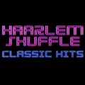Haarlem Shuffle FLAC Radio Logo