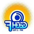 Седьмое небо Псков 107.1 FM Radio Logo