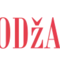 Radio Preporod Odzak 95,2 Radio Logo