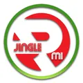 RMI - Euro Disco Radio Logo