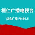 桓仁电台 Radio Logo