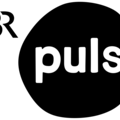 BR Puls Radio Logo