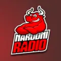 Narodni Radio Tuzla Radio Logo