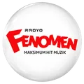 Fenomen Karışık 256 Radio Logo
