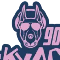 Σκύλος 90 Radio Logo