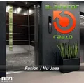 113.FM Elevator Radio Logo