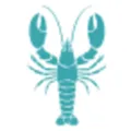 mvyradio Radio Logo