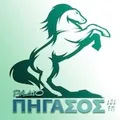 Πήγασος 106 Radio Logo
