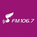 大连少儿广播 FM106.7 Radio Logo