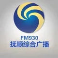 抚顺综合 Radio Logo