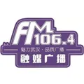 江夏女主播电台 Radio Logo