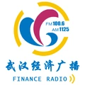 武汉经济广播 Radio Logo