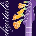 SomaFM Digitalis (128k MP3) Radio Logo