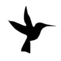 KVNF 90.9 Paonia, CO Radio Logo