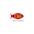 Radio Dei Turku ja Eurajoki Radio Logo