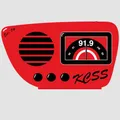KCSS 91.9 Turlock, CA Radio Logo