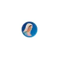 Radio Maria Spain Espana Radio Logo